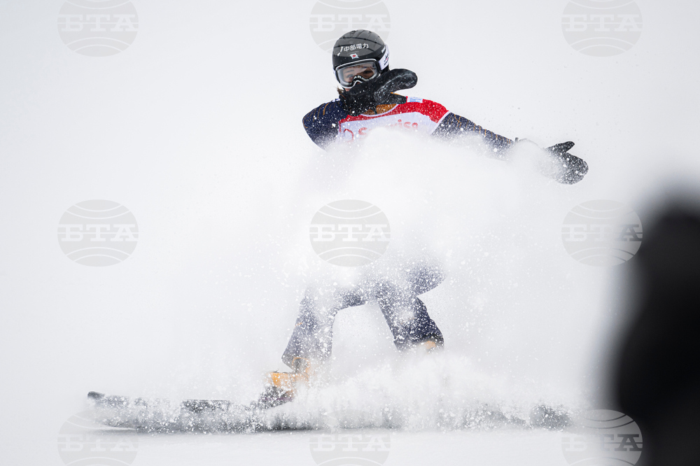 Switzerland Alpine Snowboard