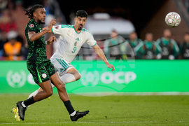 Morocco Africa Cup of Nations Soccer