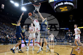 Wisconsin Michigan Basketball