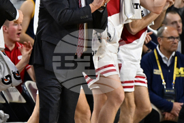 Wisconsin Michigan Basketball