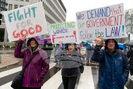 Immigration Enforcement Minnesota