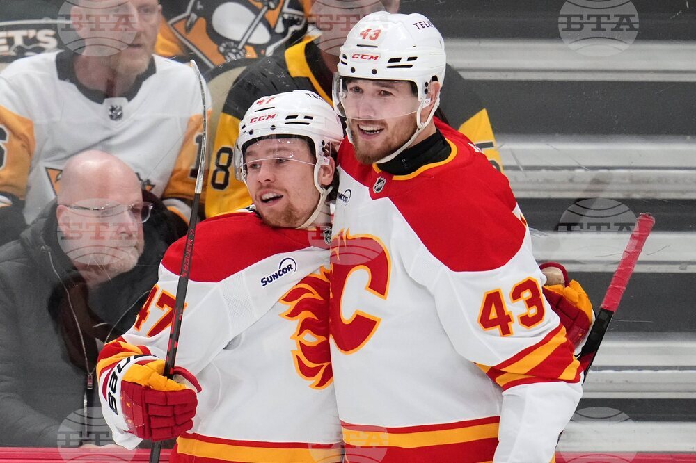 Flames Penguins Hockey