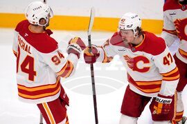 Flames Penguins Hockey