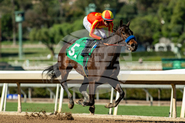 Santa Anita Horse Racing