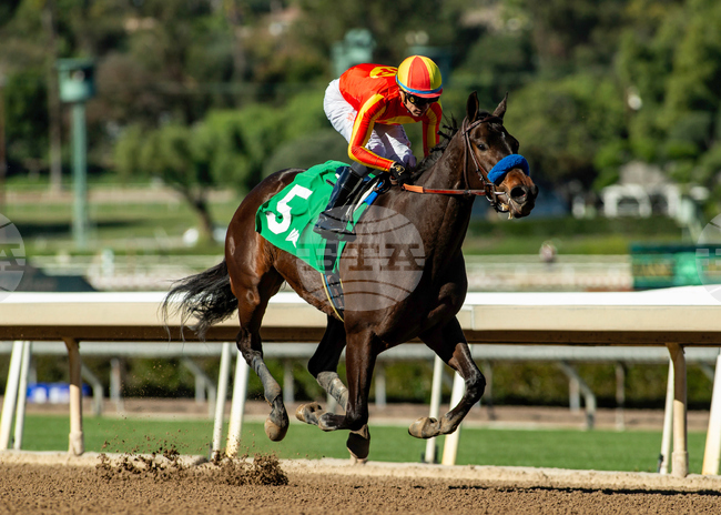 Santa Anita Horse Racing
