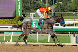 Santa Anita Horse Racing