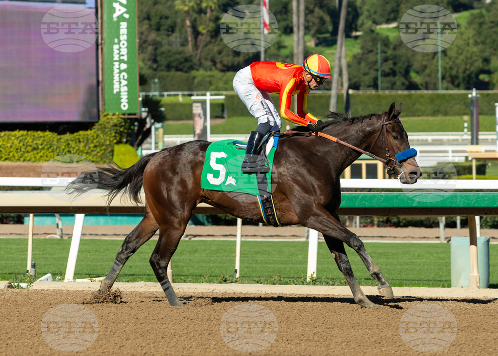 Santa Anita Horse Racing