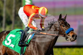 Santa Anita Horse Racing