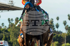 Santa Anita Horse Racing