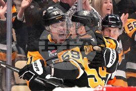 Flames Penguins Hockey