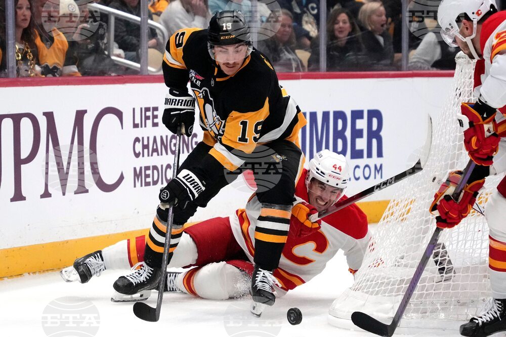 Flames Penguins Hockey