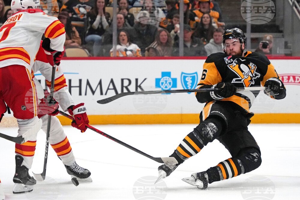 Flames Penguins Hockey