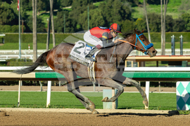 Santa Anita Horse Racing