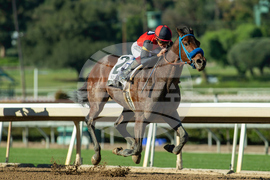 Santa Anita Horse Racing