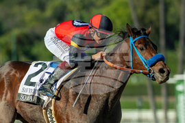 Santa Anita Horse Racing