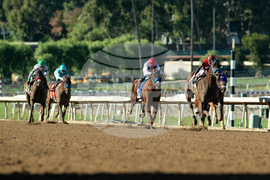 Santa Anita Horse Racing