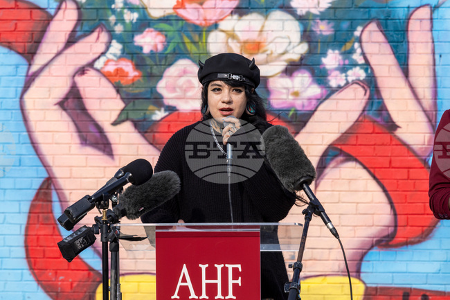 AHF Cedar Springs Dallas Mural Unveiling