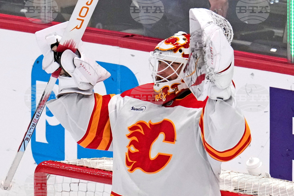 Flames Penguins Hockey