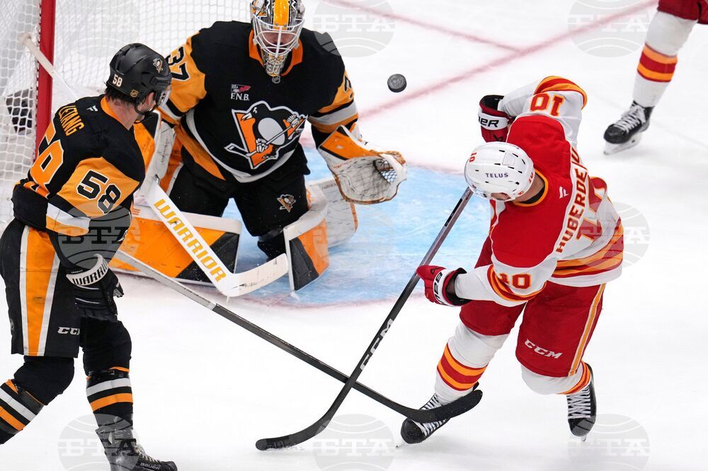 Flames Penguins Hockey