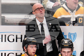 Flames Penguins Hockey