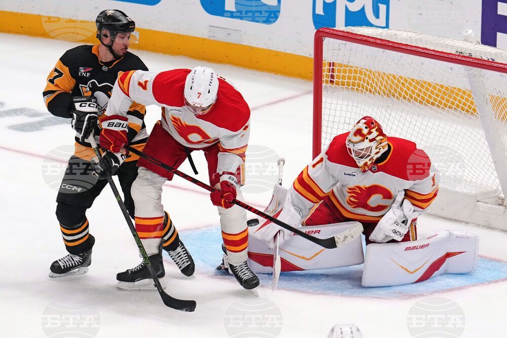 Flames Penguins Hockey