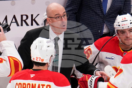 Flames Penguins Hockey