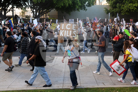 Immigration Enforcement California