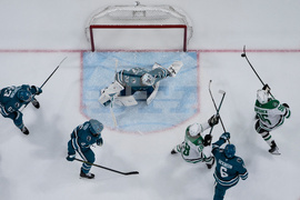 Stars Sharks Hockey
