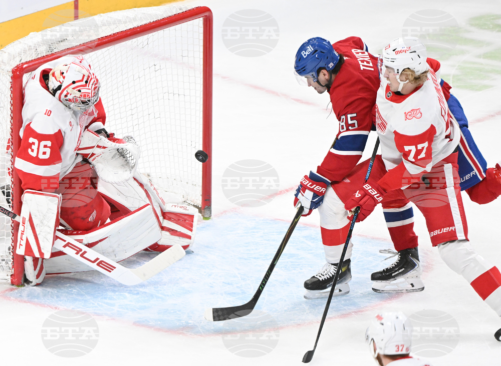 Red Wings Canadiens Hockey