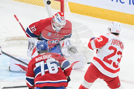 Red Wings Canadiens Hockey