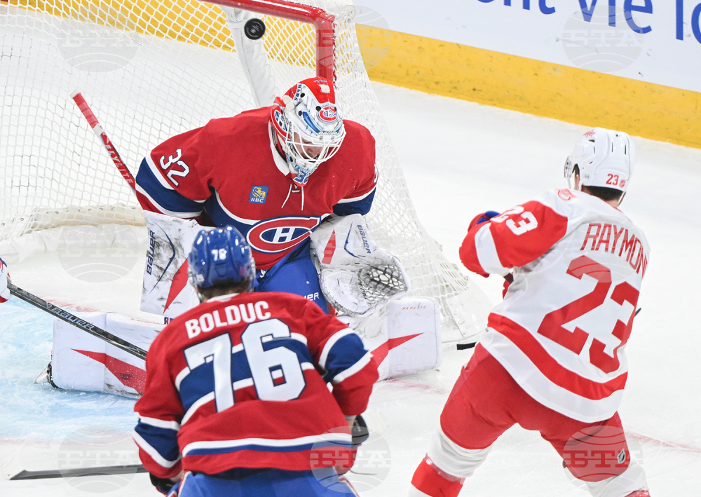 Red Wings Canadiens Hockey