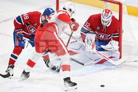 Red Wings Canadiens Hockey