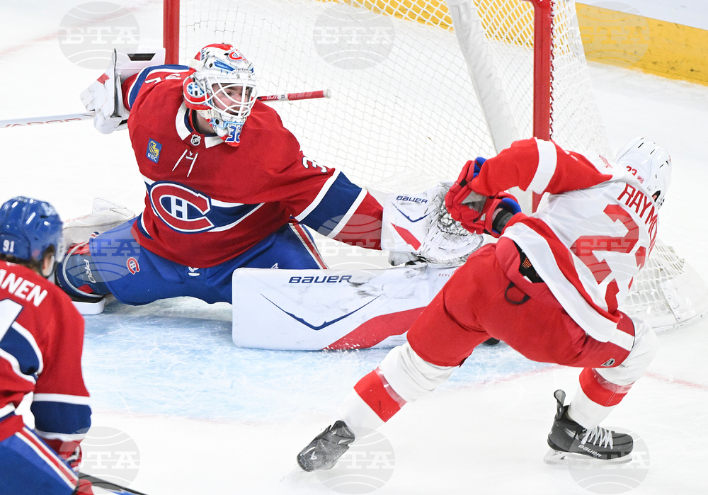 Red Wings Canadiens Hockey