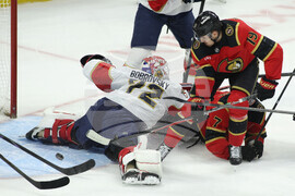 Panthers Senators Hockey