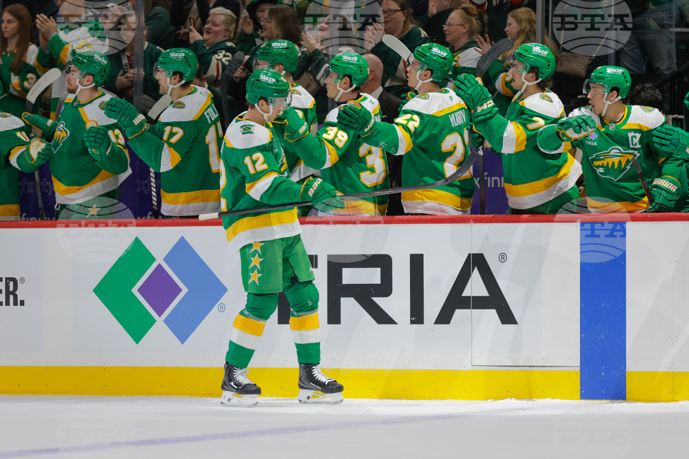 Islanders Wild Hockey