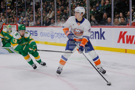 Islanders Wild Hockey