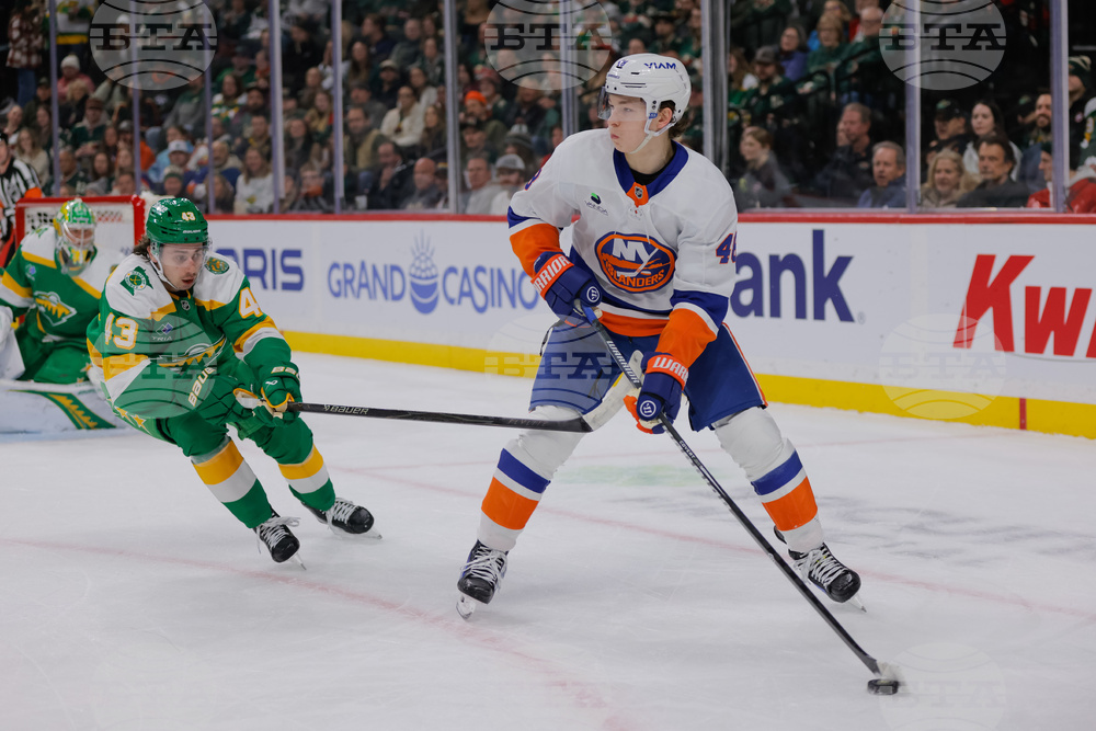 Islanders Wild Hockey