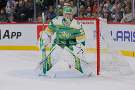 Islanders Wild Hockey