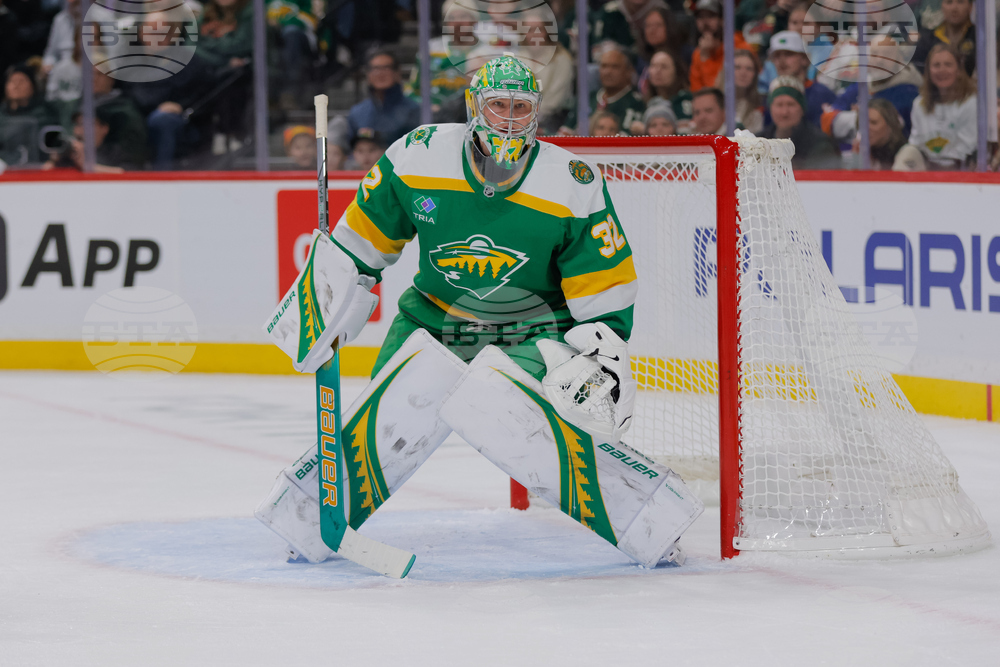 Islanders Wild Hockey