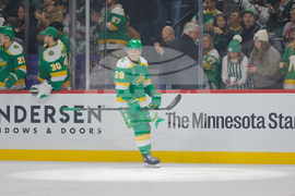 Islanders Wild Hockey