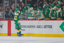 Islanders Wild Hockey