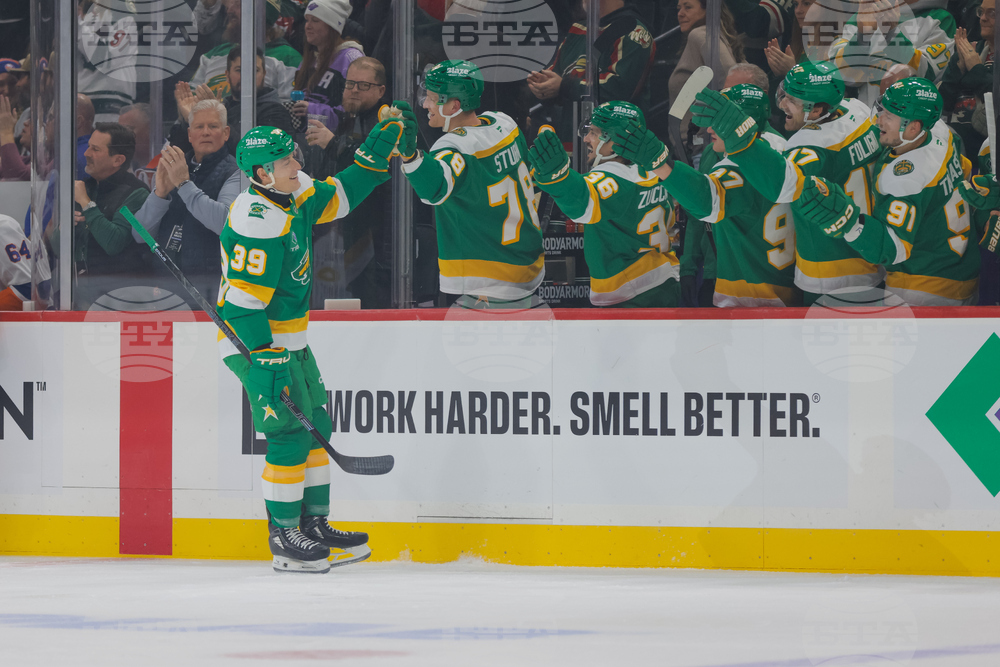 Islanders Wild Hockey