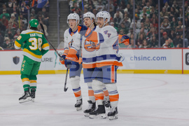 Islanders Wild Hockey