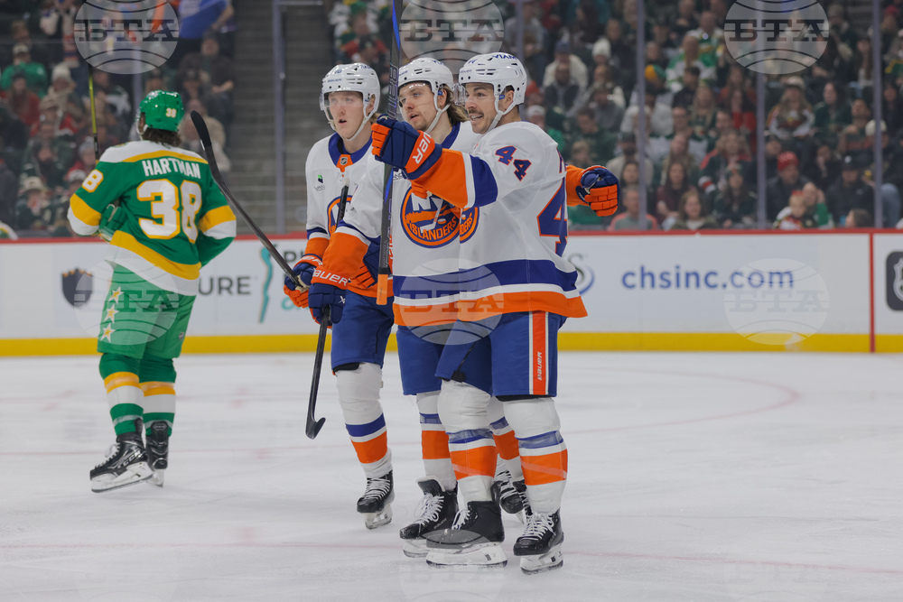 Islanders Wild Hockey