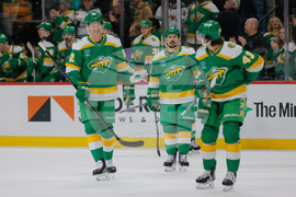 Islanders Wild Hockey