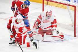 Red Wings Canadiens Hockey