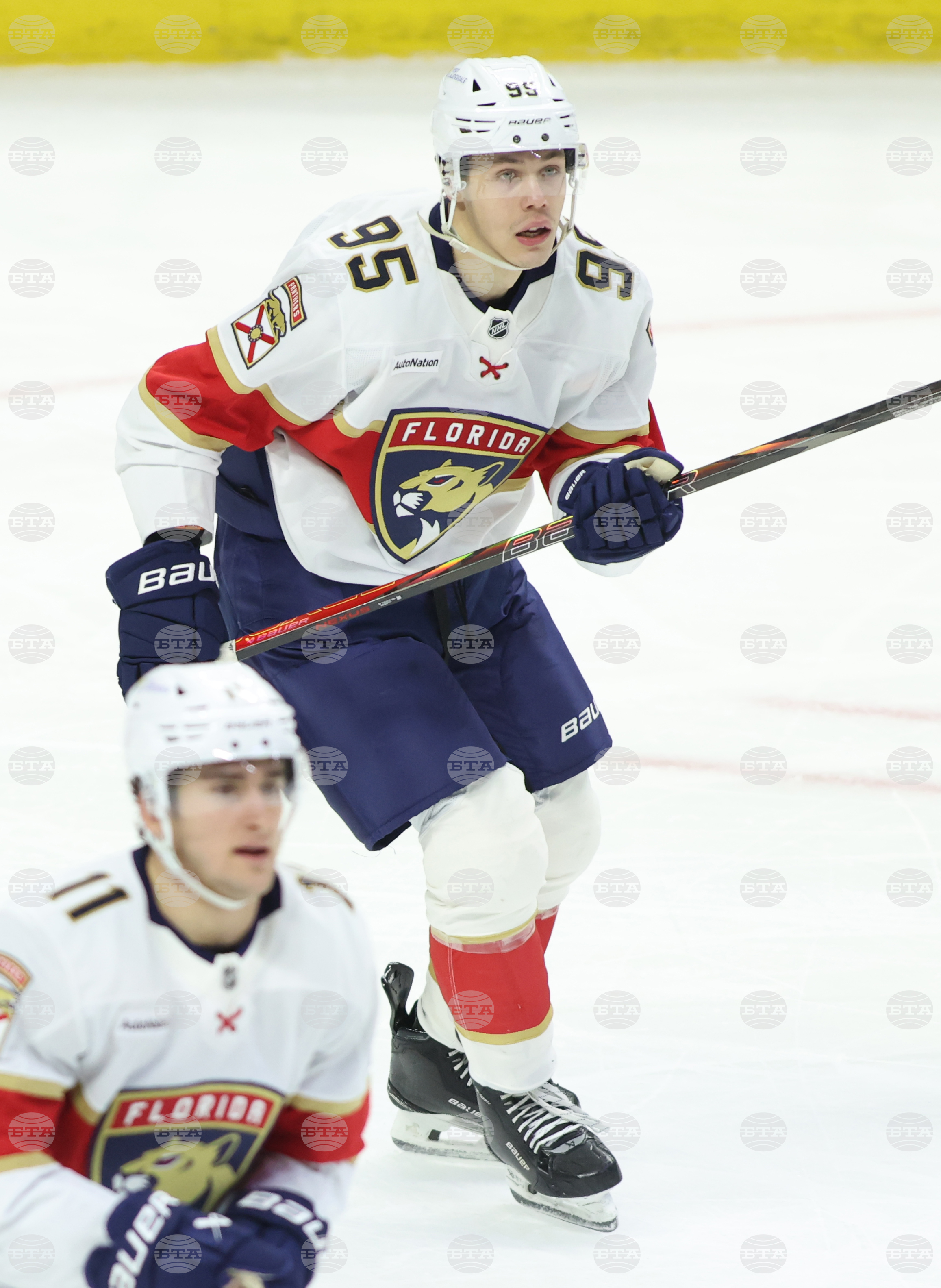 Panthers Senators Hockey