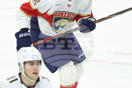 Panthers Senators Hockey