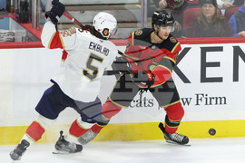 Panthers Senators Hockey