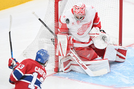 Red Wings Canadiens Hockey